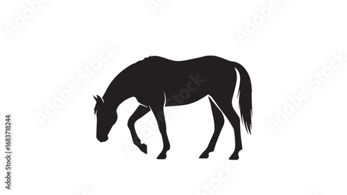 Elegant horse silhouette in dynamic pose