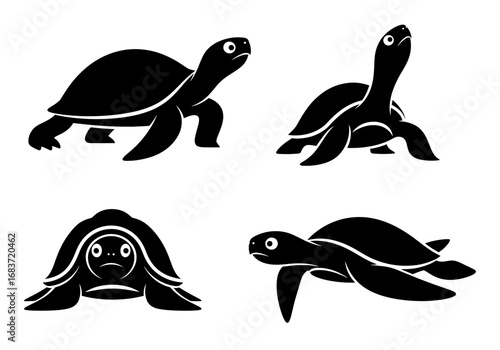 Four turtle vector illustrations showing different poses and perspectives in a flat and graphic style