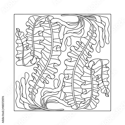 Art nouveau style seaweed hand drawn monochrome easy coloring book page vector illustration