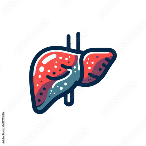 Colorful illustration of a liver highlighting its structure and functions in a medical context
