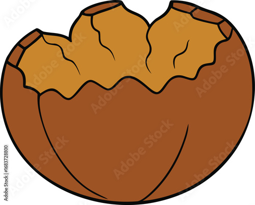 Brown walnut shell cracked open showing edible kernels isolated vector graphic transparent background