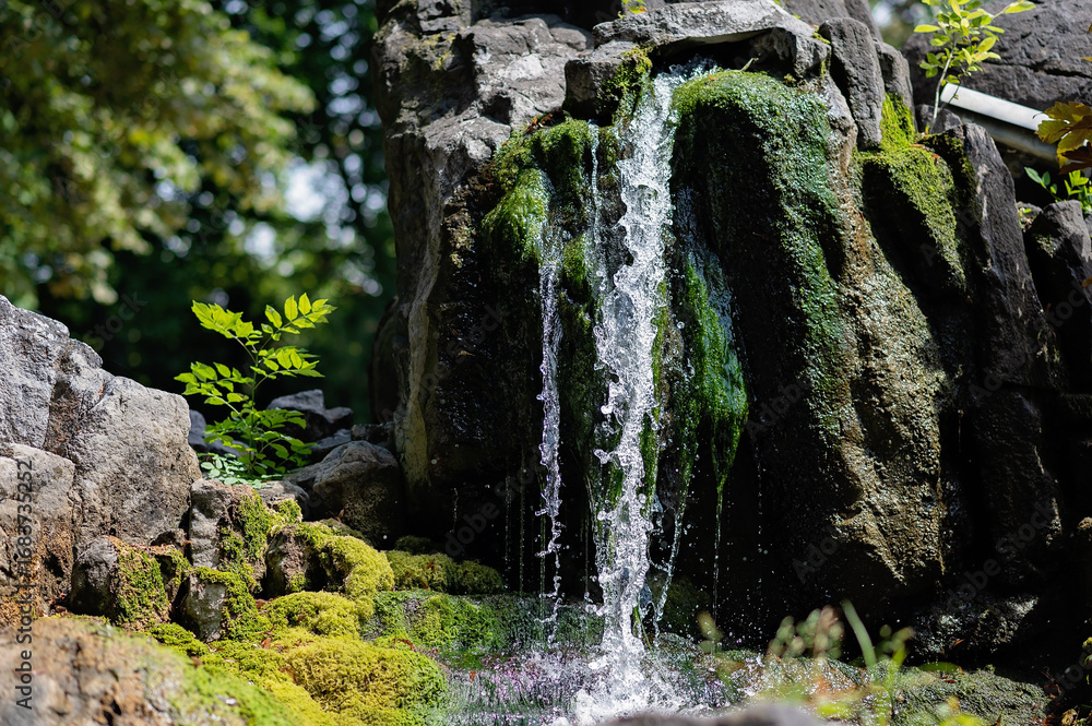Fototapeta premium Waterfall cascading over moss-covered rocks in a serene natural environment with lush greenery