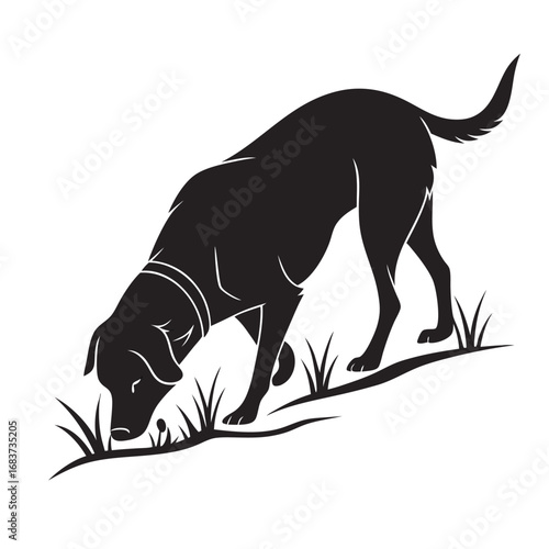 Silhouette of a Dog Sniffing the Ground