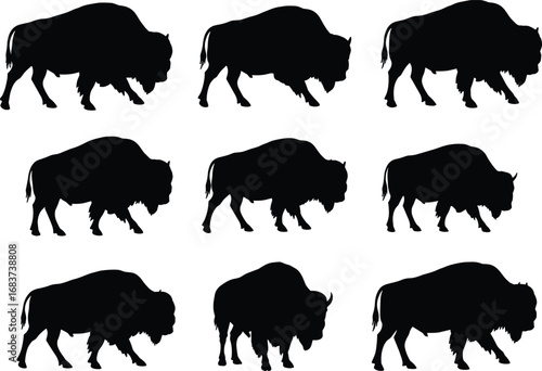 Black silhouette of bison in various poses, wild buffalo animals, herd walking, nature wildlife, American plains, outdoor grazing, strong mammals