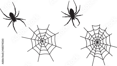 Two spiders and cobwebs silhouette isolated on white background