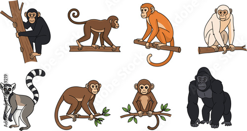 Cartoon Vector Set of Diverse Primates Including Gorilla, Lemur, Chimpanzee, and Monkeys in Jungle Poses for Wildlife Illustration