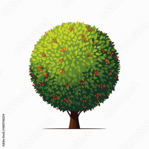 A Beautiful Spherical Green Tree with Small Orange Fruits Scattered Throughout its Lush Foliage