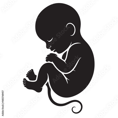 Fetus in Womb Silhouette Clipart – Black & White Prenatal Development Icon with Umbilical Cord