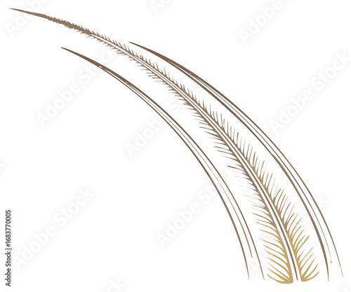 Elegant feather with delicate barbs and flowing lines in a brown and gold palette