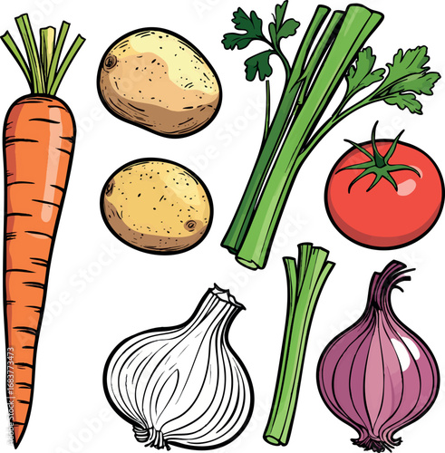 Soup vegetable ingredients in outline. Carrot tomato celery and more in minimal vector.