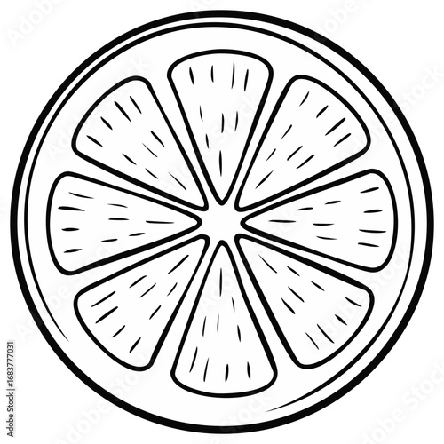 Sliced citrus fruit illustration outline in black and white. Healthy food design concept.