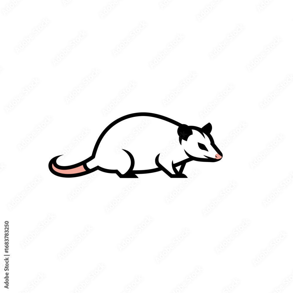 Obraz premium Vector illustration of black opossum with pink tail and nose. Outline image for animal types, flashcards. Fauna and biodiversity. Wildlife animals