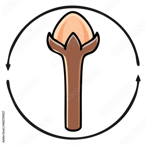 A simple illustration of a clove spice with circular arrows indicating rotation or cycle