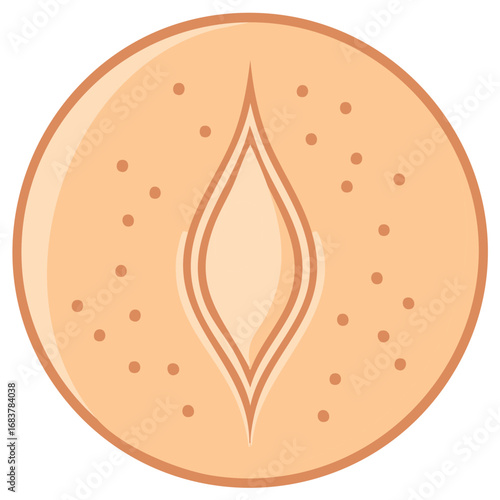 Stylized Navel Illustration on Orange Skin with Marks and Dimples in a Circular Format