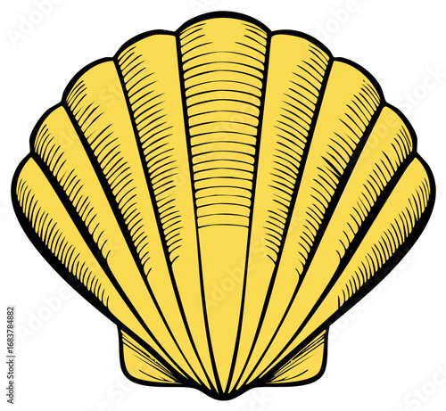 Stylized illustration of a yellow scallop shell with black outline and engraved design elements