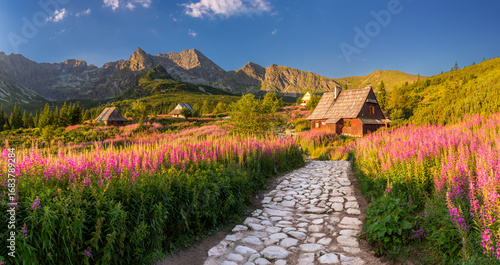 Fototapeta Naklejka Na Ścianę i Meble -  Mountain landscape, Tatra mountains summer landscape in Poland, colorful sunrise on Hala Gasienicowa (Gasienicowa Glade) with blooming fireweed