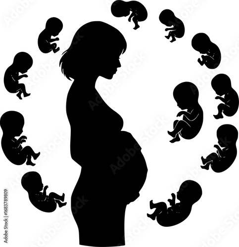 An illustration of a pregnant woman surrounded by floating fetuses representing the various stages of fetal development