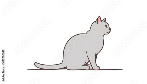 Gray cat sitting in profile view on transparent  background  