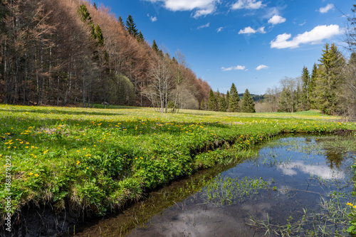 Fototapeta Naklejka Na Ścianę i Meble -  Pond in Gorce mountains, Poland