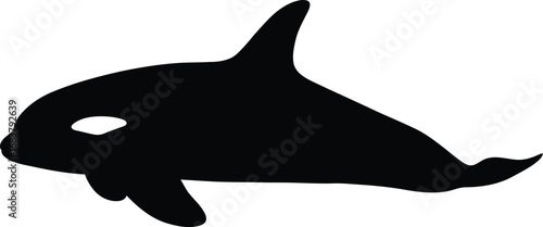 Orca silhouette ocean wildlife animal marine mammal predator vector