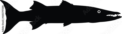Silhouette of a fierce shark with sharp teeth dynamic profile vector
