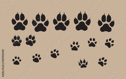 Collection of various sized animal paw prints showing different gait patterns and claw markings