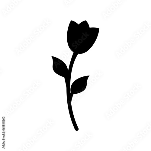 Elegant silhouette of a tulip flower in full bloom with leaves