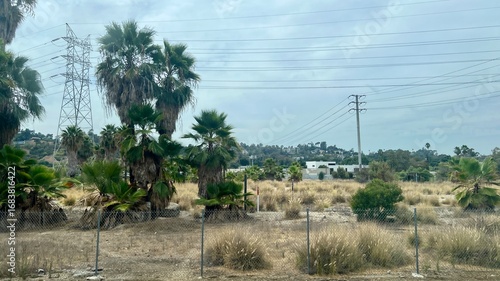 Desert landscape with palm trees, chain-link fence, dried grass, power lines overhead. Rolling hills with modern buildings in background. Arid Southern California scenery with utility infrastructure