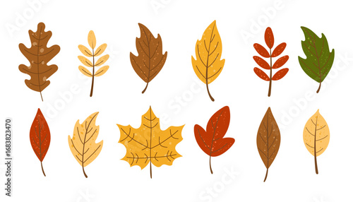 Autumn leaves collection with colorful fall foliage in different shapes and styles. Seasonal vector set with orange, yellow, red, brown, and green leaves, perfect for Thanksgiving clipart.