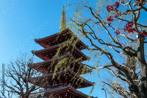 Fototapeta Classic Japanese temple with a traditional tiled roof creates striking contrast with a sleek, modern glass skyscraper behind it