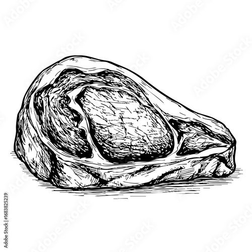 Vintage sketch of beef cut with intricate details  