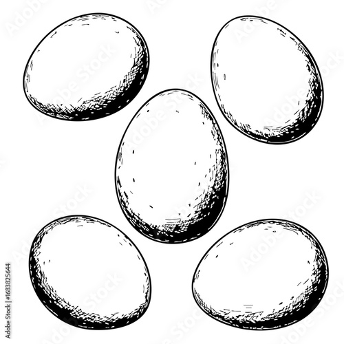 Vintage sketch of eggs in a clustered arrangement  