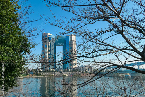 Photography Delicate, green weeping willow branches hang gracefully in foreground, creating a natural, soft-focus frame for the blurred, distant view of the historic Imperial Palace and bridge in Tokyo, Japan
