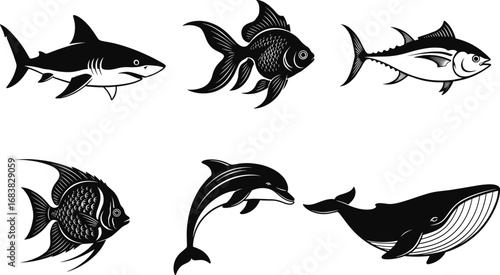 Marine animal vector set, shark, goldfish, tuna, angelfish, dolphin, whale, black and white illustration, aquatic wildlife, ocean species, educational art