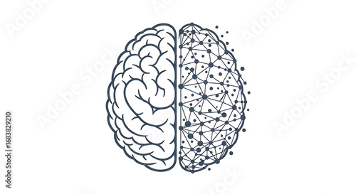 Illustration of a brain with one half anatomical and the other a network of dots and lines