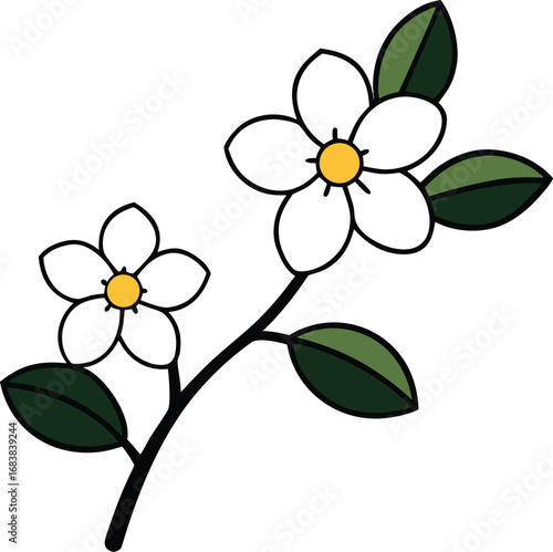 Elegant blackthorn blossoms vector illustration delicate white flowers scalable eps transparent background
