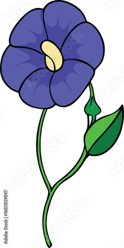 Butterfly pea flower vector illustration elegant botanical icon scalable eps graphic transparent background