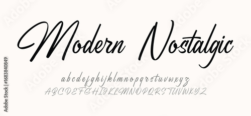 Hand drawn vector alphabet. Modern monoline signature script font. Elegant Signature Font. Best Alphabet Beautiful Calligraphy Signature Font. vector illustration	
