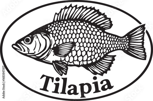 Engraved Tilapia Fish in an Oval Frame
