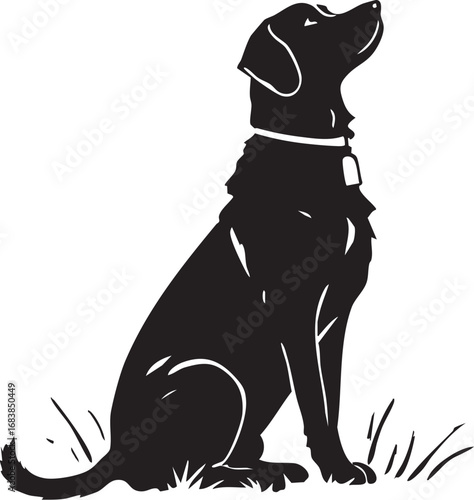 Black silhouette of a dog sitting in grass looking up
