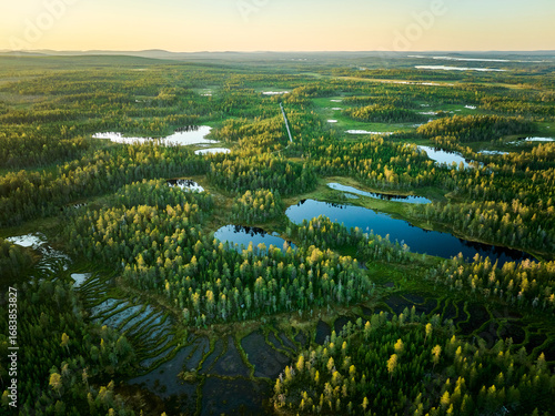 aerial view of the forest and lakes in lapland