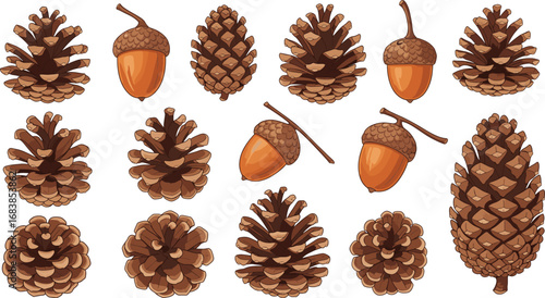 Realistic Pine Cones and Acorns Vector Set Featuring Natural Forest Elements for Autumn, Botanical, Seasonal, Educational, and Nature-Themed Designs