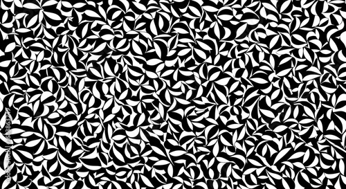 Abstract black and white pattern with organic shapes resembling leaves or petals, creating a visually complex and textured background