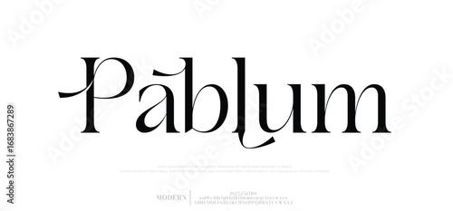lettering fonts decorative wedding vintage retro logos. vector illustration