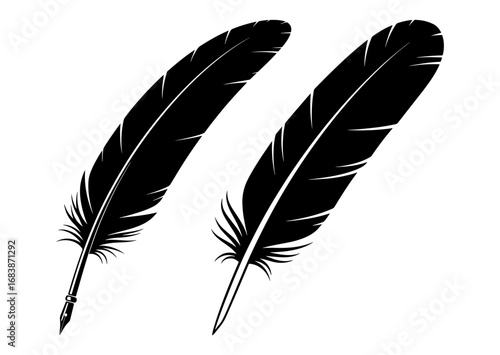 Vector art of two black quill feather illustrations