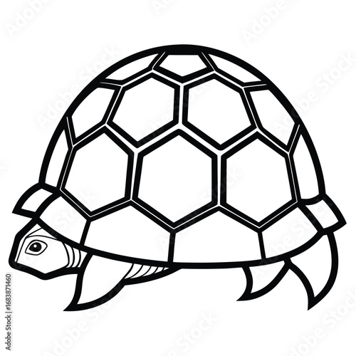 Black and white outline of a tortoise shell and head on white background turtle
