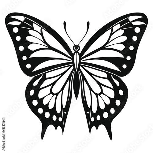 Black and White Silhouette of a Butterfly with Intricate Wing Patterns insect nature