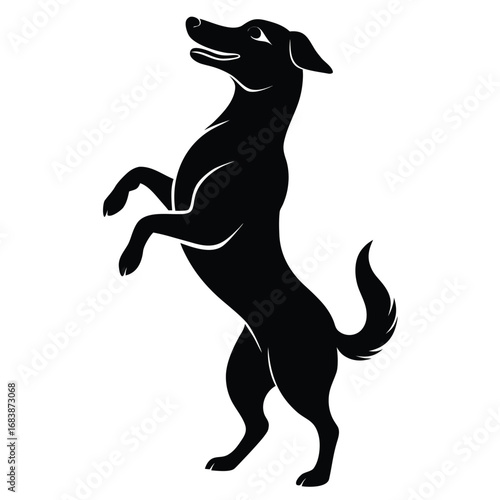 Black silhouette of a dog standing on hind legs on a white background animal canine