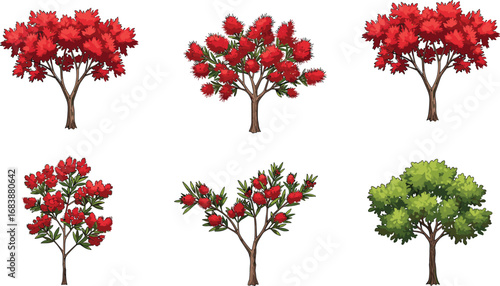 Colorful red flowering trees and green bush illustration, bottlebrush and maple species, garden landscape plants, nature clipart, botany elements