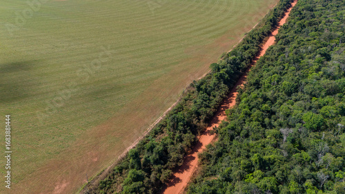 Photography Huge soybean crop in a deforested area of ​​the Amazon rainforest in Mato Grosso, Brazil